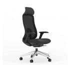 ErgoLab Inspire Black frame Cushion Seat HB Nylon Black Chair