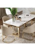 Apka Interior Modern Stainless Steel Base and Marble Top Dining Table 6 Seater