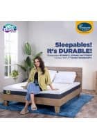 Centuary Sleepables 6 inch Bonnell Spring with Antimicrobial Foam Mattress (75 x 48 x 6)