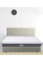 Centuary Sleepables 6 inch Bonnell Spring with Antimicrobial Foam Mattress (78 x 48 x 6)