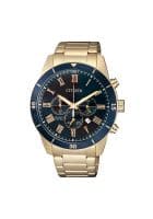 Citizen Analog Quartz Chronograph Men's Blue Dial Watch (AN8169-58L)