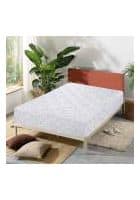 Coirfit Biolife LTX Indonesian with Herbfresh Technology 5 Inch Double Latex Foam Orthopedic Mattress (72 x 48 Inch, White)