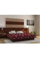 Centuary Flexi Hr 5 Inch PU Foam Double Size High Resilience (HR) Foam Mattress (Maroon, 72 x 48 Inch)