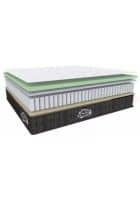 Centuary Sleepables 8 Inch Gel Foam Double Size Pocket Spring Mattress (Multicolor, 72 x 48 Inch)