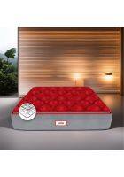 COIRFIT LUXURINO Pillow Top with ISPT Tech. 10 inch King Bonnell Spring Mattress (L x W: 78 inch x 72 inch)