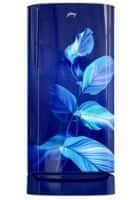 Godrej 180 L 2 Star Direct Cool Single Door Refrigerator Sea Blue (RD ERIOPLS 205B THF SE BL)