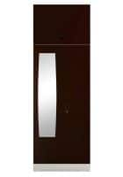 Godrej Interio Slimline 2 Door CRCA Steel Almirah Wardrobe (SLIM00207) Russet