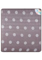 Godrej Interio Snugly 5 inch Queen Size Foam Mattress (78 x 60 inch)