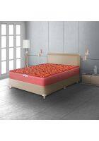 Hypnos Caspio Ortho 8 Inch Medium Firm Single Size Bonnell Spring Mattress Maroon (84X42X08)