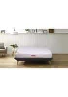 Springtek Dreamer Bonnel 10 inch Single Bonnell Spring Mattress (78 x 36 inch)