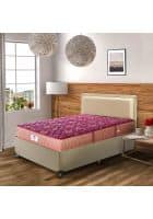 PEPS Springkoil Normal Top Maroon 10 inch Queen Bonnell Spring Mattress (L x W: 72 inch x 66 inch)