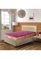 PEPS Springkoil Normal Top Maroon 8 inch King Bonnell Spring Mattress (L x W: 72 inch x 72 inch)