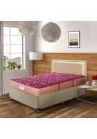 PEPS Springkoil Normal Top Maroon 6 inch Queen Bonnell Spring Mattress (L x W: 75 inch x 60 inch)