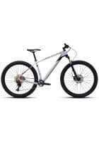 Polygon Brand Bicycle Syncline C2 29 2021-L (18) -Grey