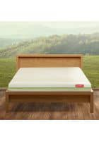 Duroflex Prana 8 inch Organic Cotton Fabric King Size PU Foam Mattress (Green, 72 x 72 inch)