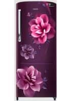 Samsung 223 L 3 Star Direct Cool Single Door Refrigerator Camellia Purple (RR24C2723CR/NL)