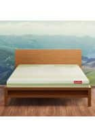 Duroflex Tatva 6 inch Organic Cotton Fabric King Size Coir Mattress (Green, 72 x 72 inch)