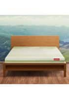 Duroflex Tatva 6 inch Organic Cotton Fabric King Size Coir Mattress (Green, 75 x 72 inch)