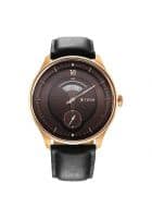 Titan Brown Dial Analog Watch For Men 1890Wl01