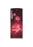 Whirlpool 200 L 4 Star Direct Cool Single Door Refrigerator Wine Mulia (215 IMPRO ROY 4S)